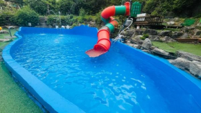 1st Branch Camembert Pet Pool Villa